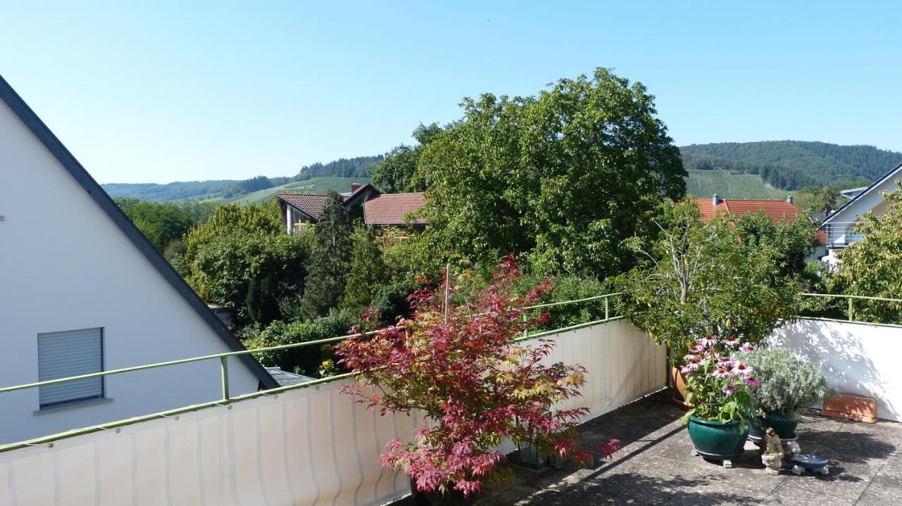Apartament Eifelidylle Am Moselmaareradweg Wittlich Zewnętrze zdjęcie
